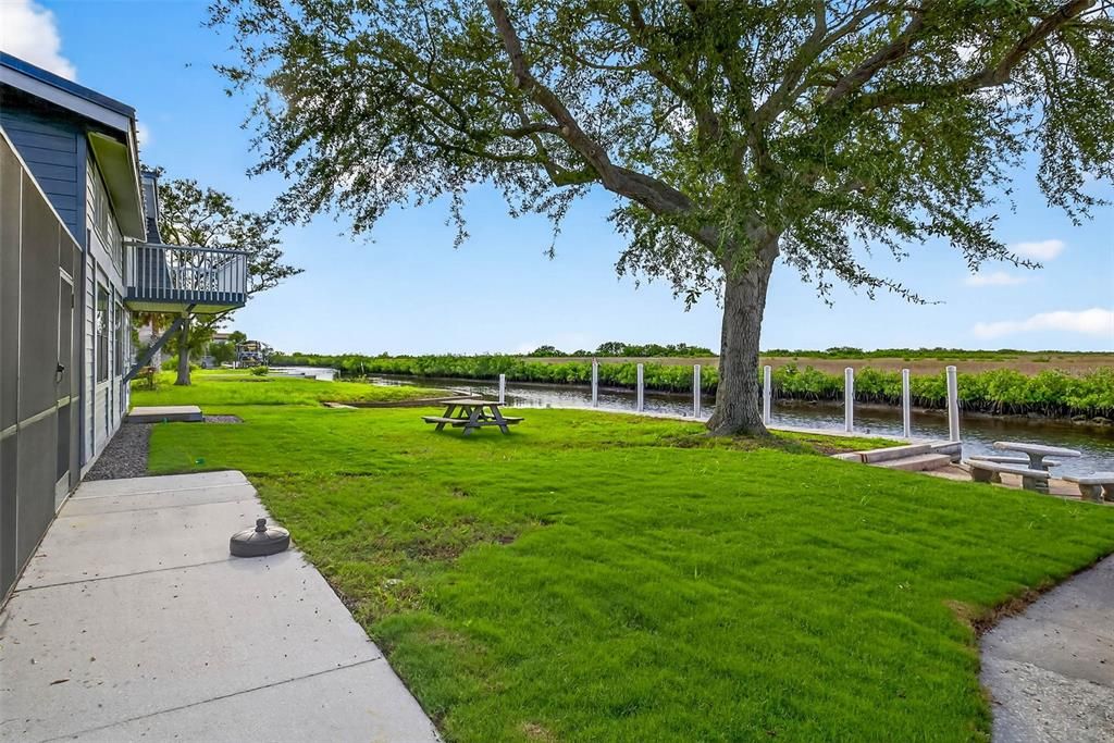 Backyard, Exterior, Water
