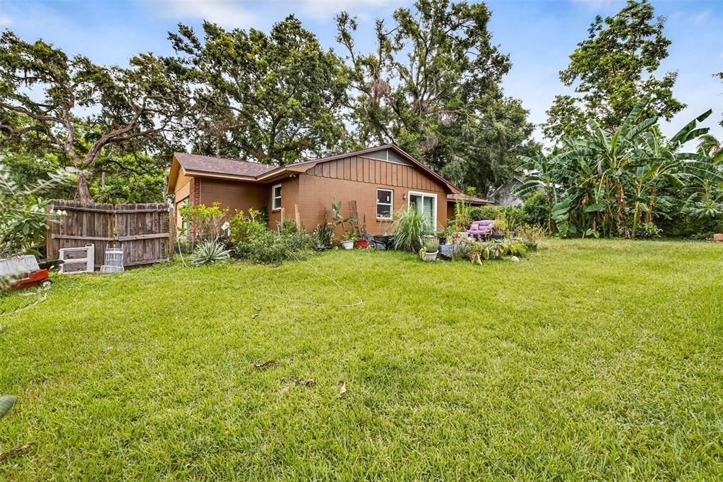 Backyard, Exterior
