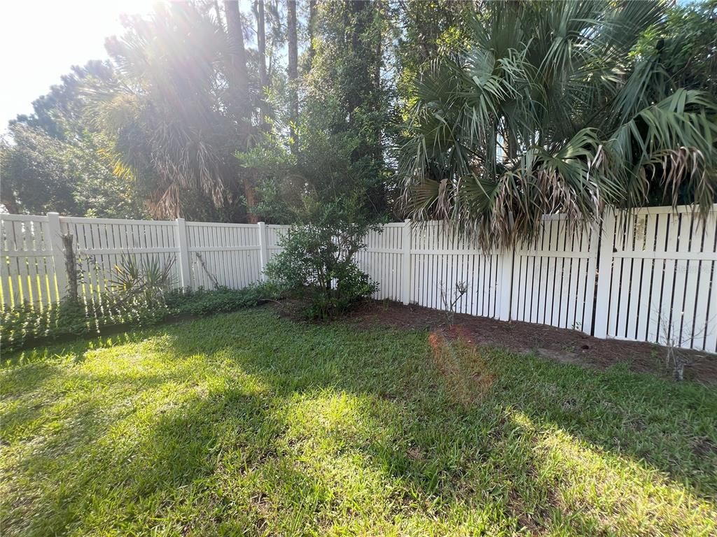 Backyard, Exterior