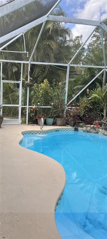 Glass Ceilings, Interior, Pool, Sun Room