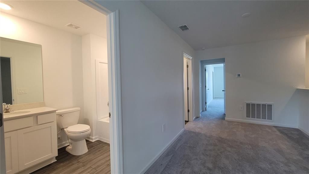 Bathroom, Interior, Recessed Lighting, Wood Texture Flooring