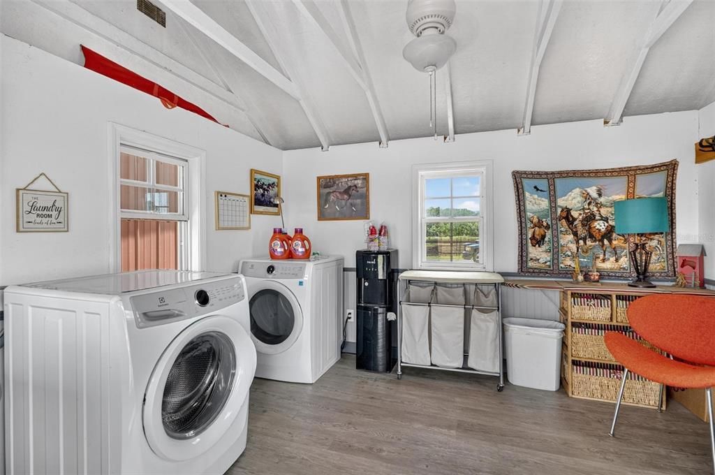 Interior, Washer, Wood Texture Flooring