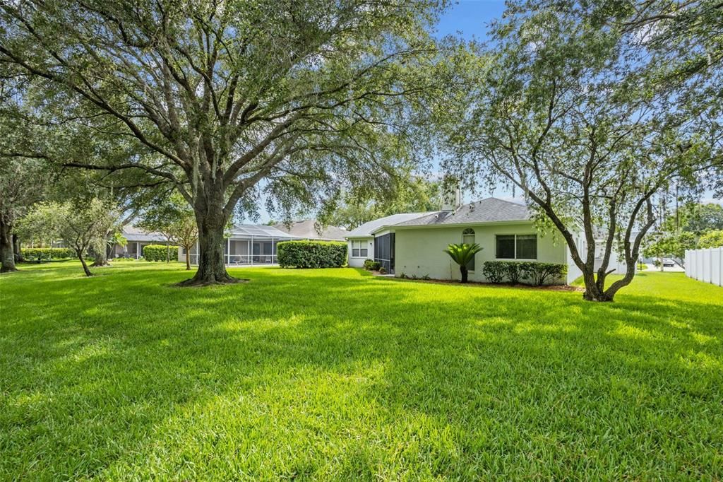 Backyard, Exterior