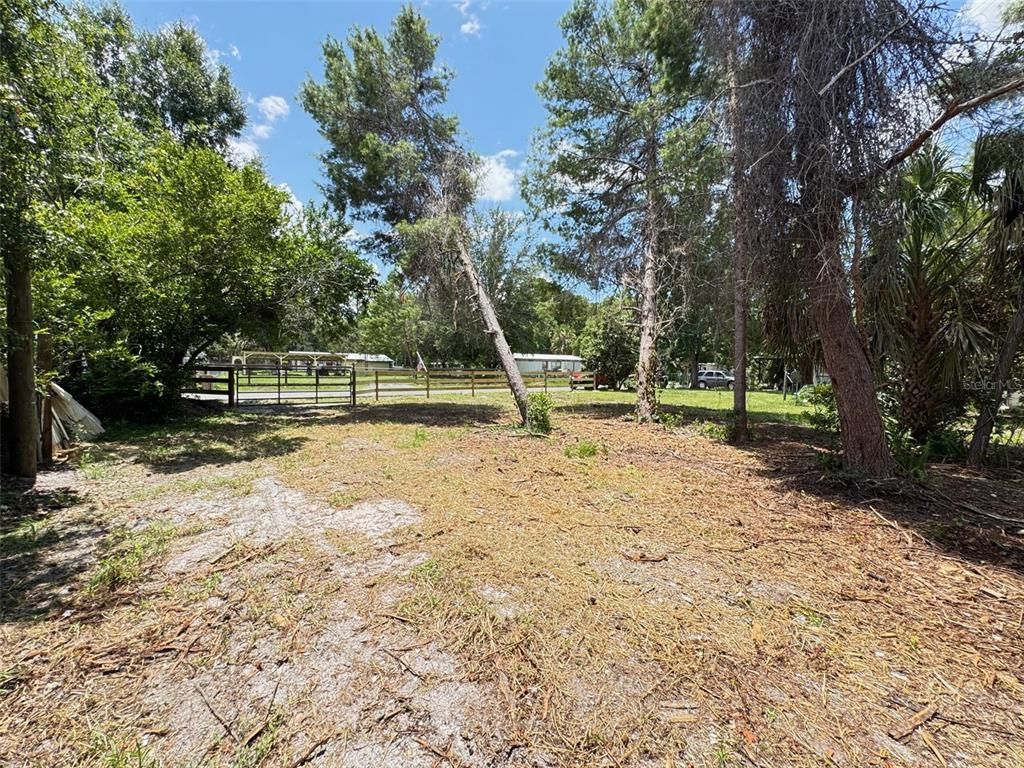 Backyard, Exterior