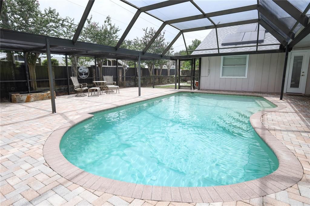 Glass Ceilings, Interior, Pool, Sun Room