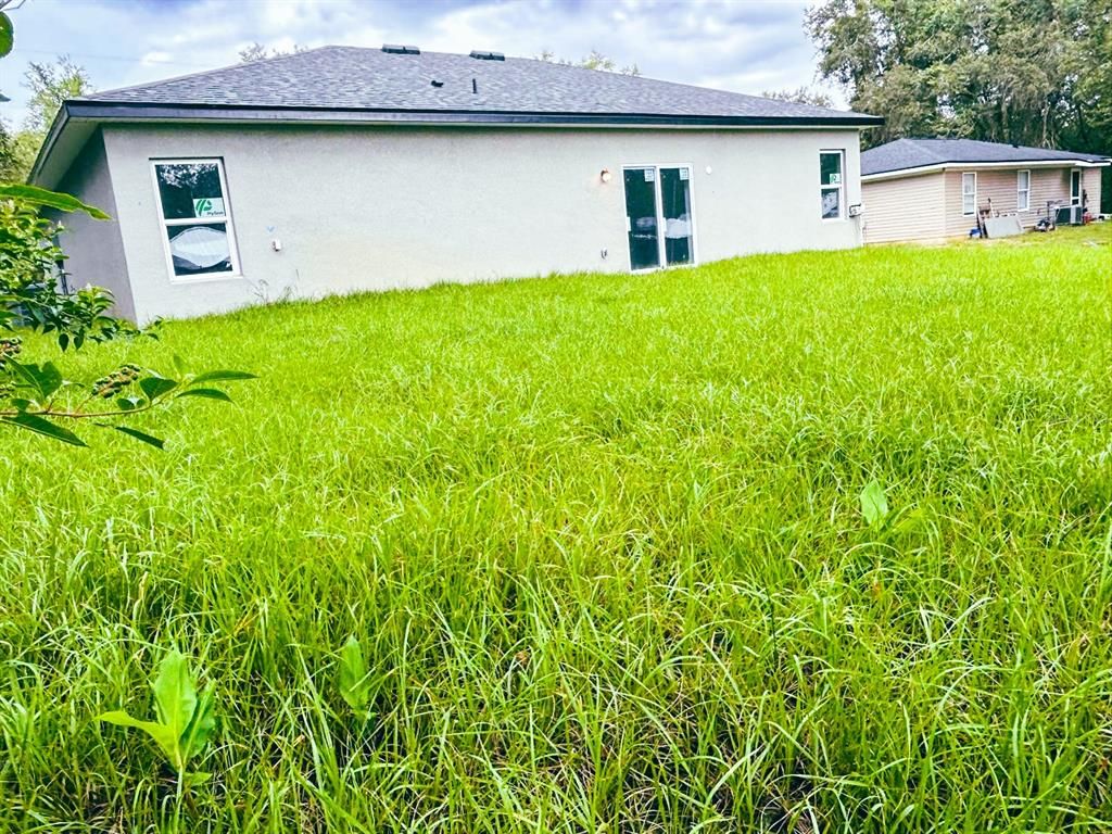 Backyard, Exterior