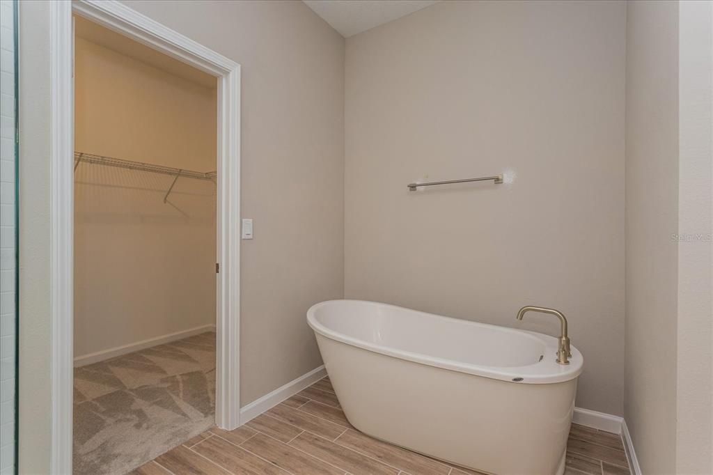 Bathroom, Free Standing Baths, Interior, Walk-in Closets, Wood Texture Flooring