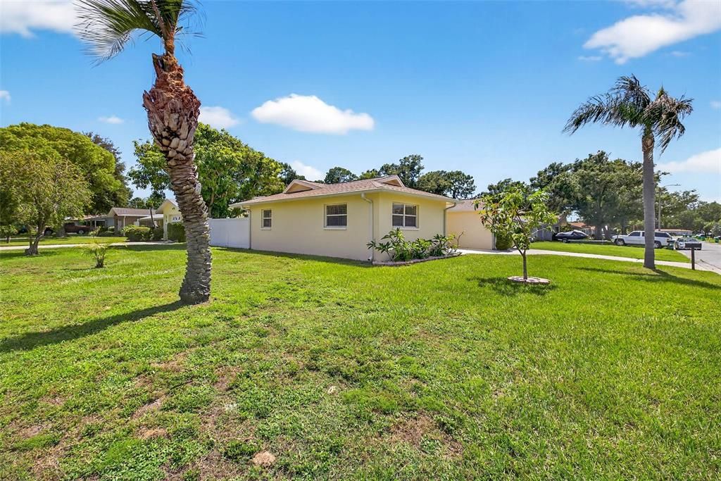 Backyard, Exterior