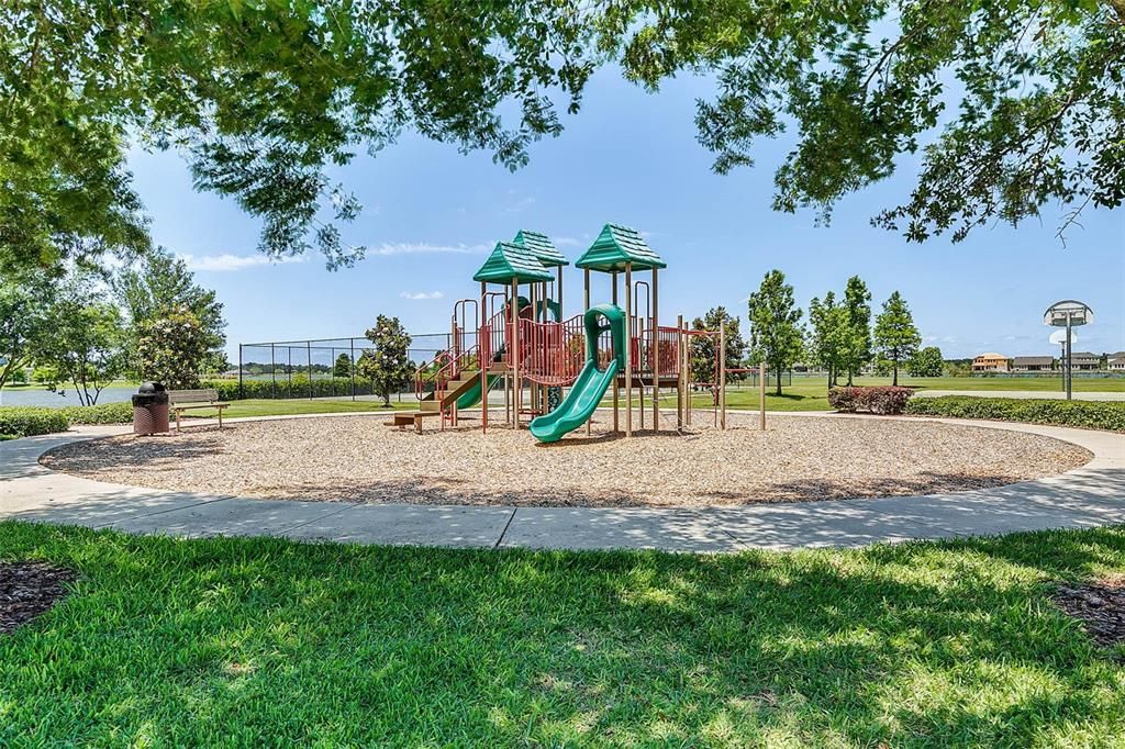 Backyard, Exterior, Playground