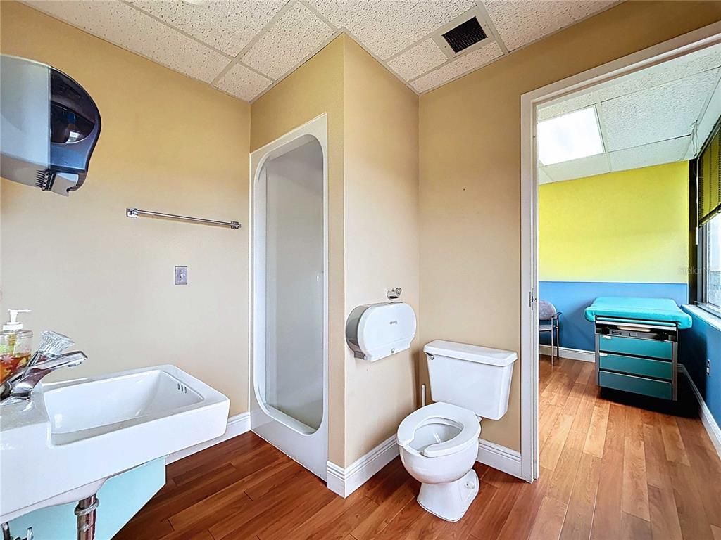 Bathroom, Interior, Wood Texture Flooring
