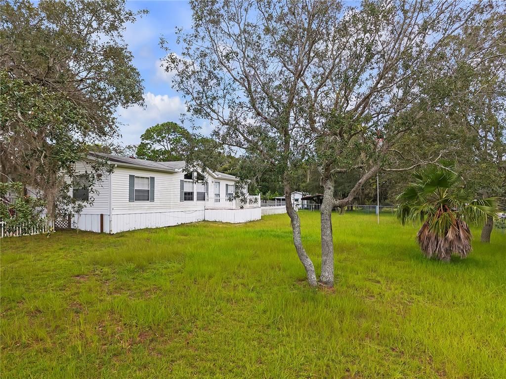 Backyard, Exterior