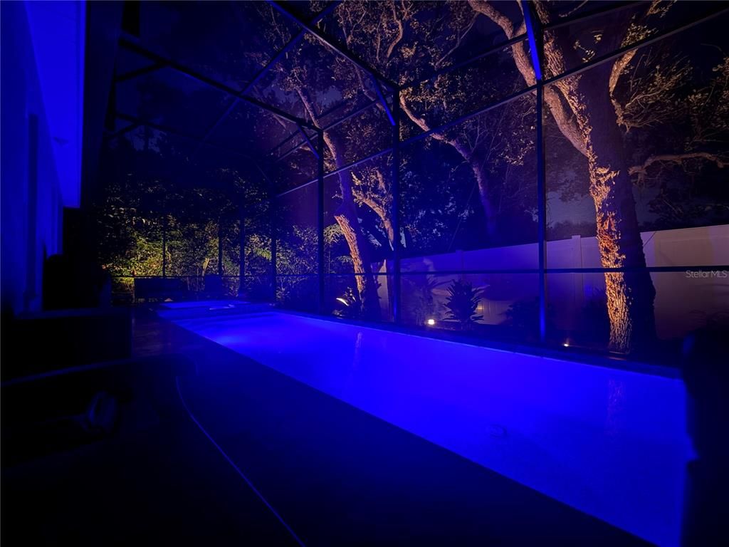 Glass Ceilings, Interior, Pool, Sun Room