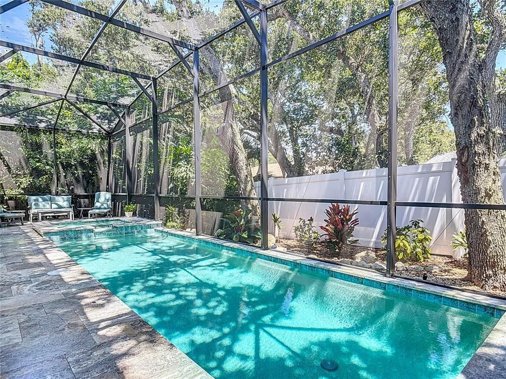 Glass Ceilings, Interior, Pool, Sun Room