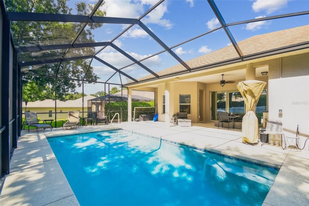 Glass Ceilings, Interior, Pool, Sun Room