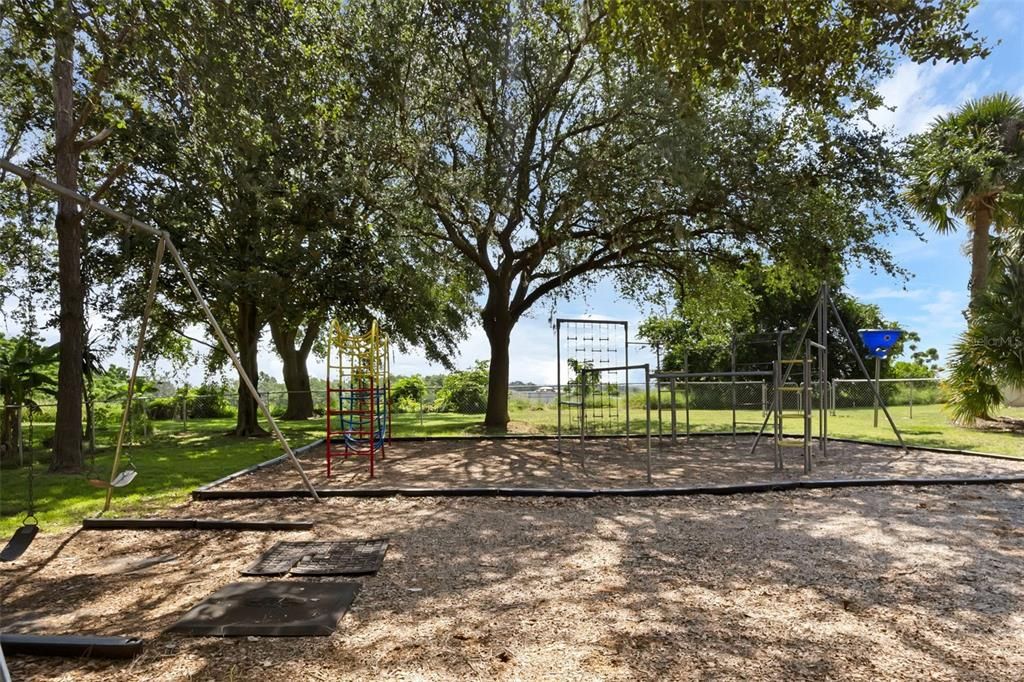 Backyard, Exterior, Playground