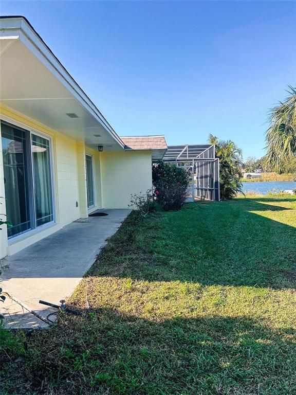 Backyard, Exterior, Water