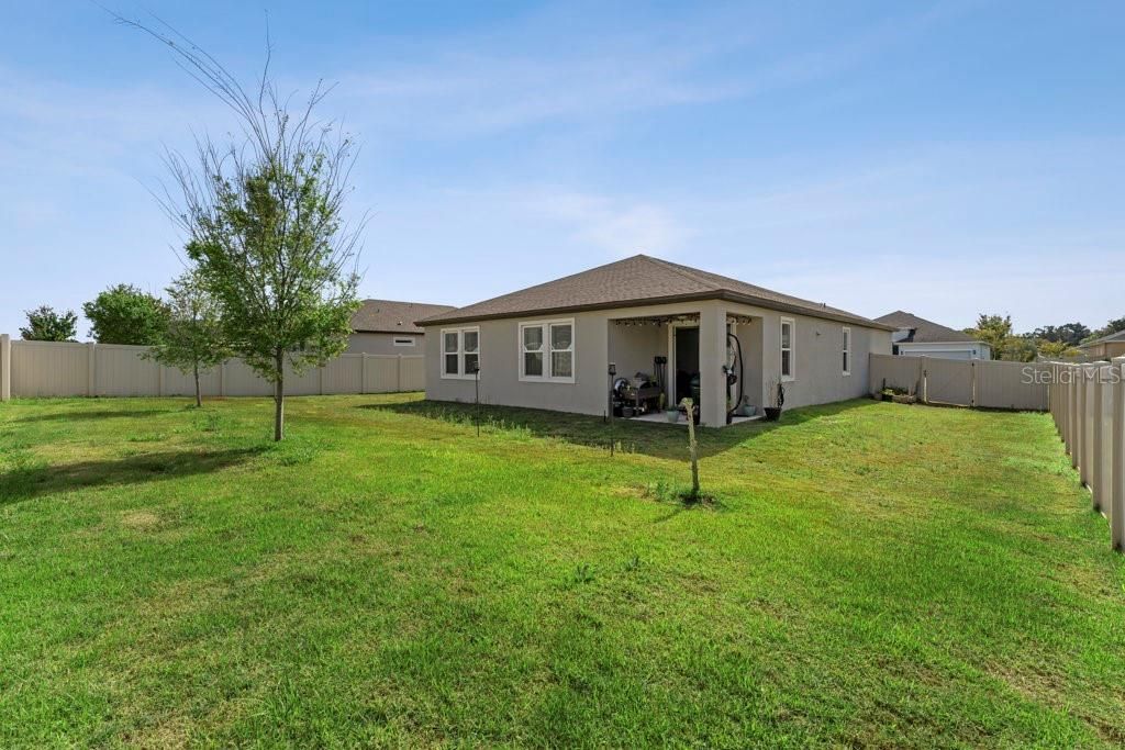 Backyard, Exterior