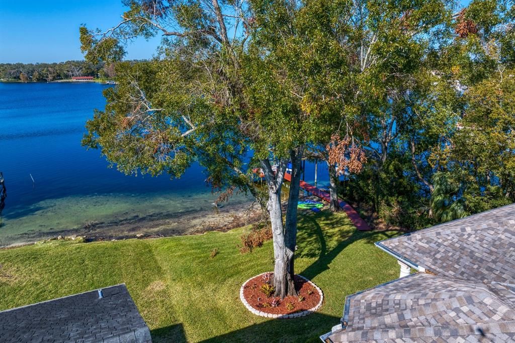 Backyard, Exterior, Water
