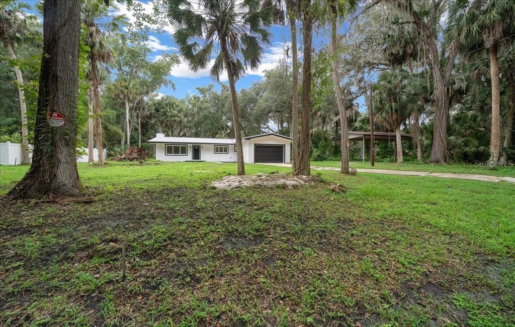 Backyard, Exterior