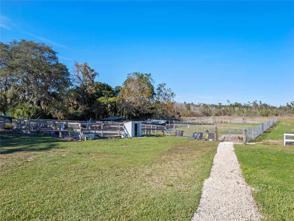 Backyard, Exterior