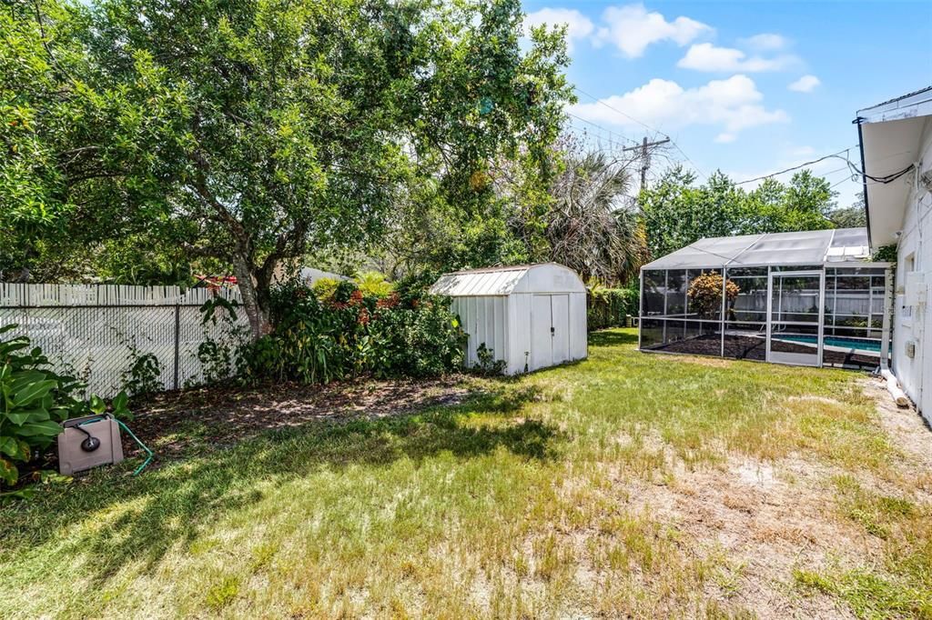 Backyard, Exterior