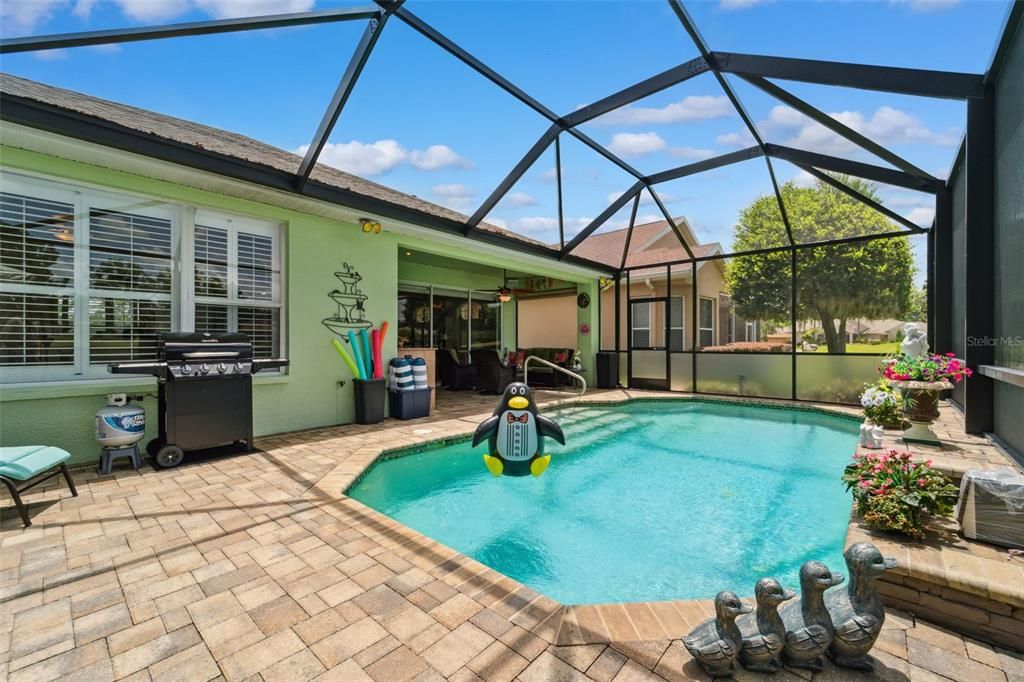 Glass Ceilings, Interior, Pool, Sun Room
