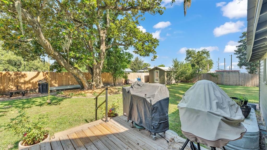 Backyard, Exterior