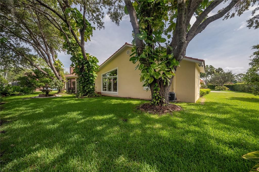 Backyard, Exterior