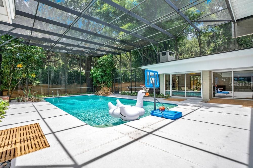 Glass Ceilings, Interior, Pool, Sun Room