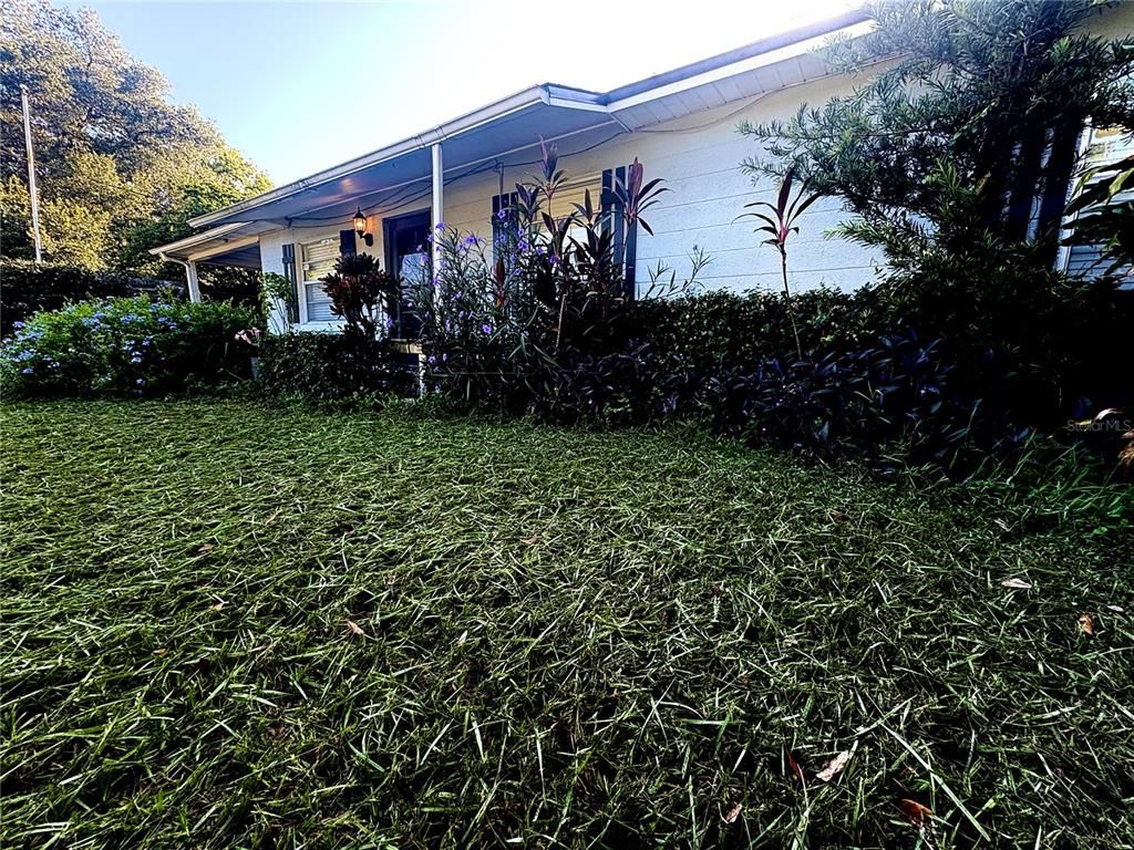Backyard, Exterior