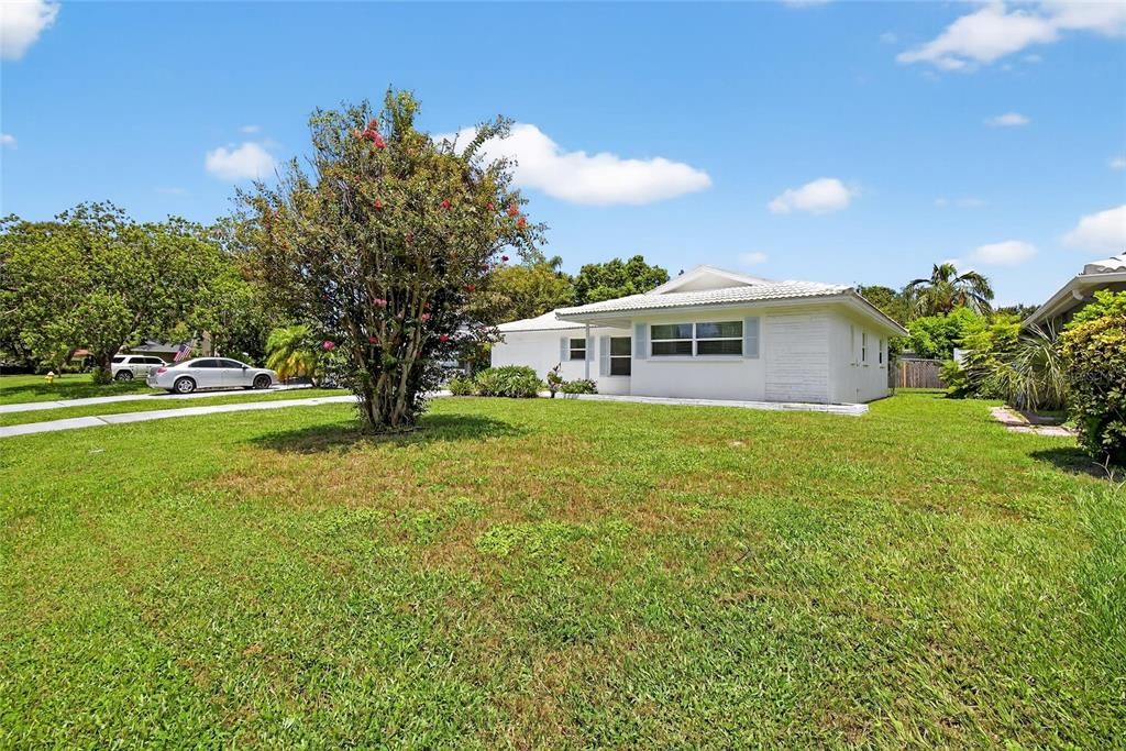 Backyard, Exterior