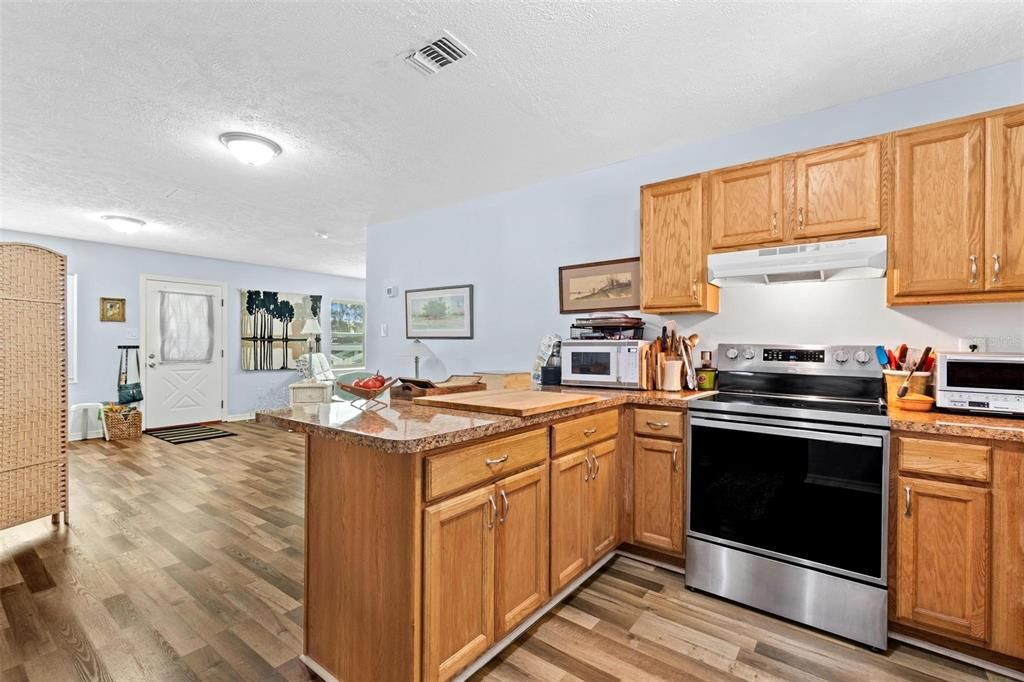 Interior, Kitchen, Stainless Steel Appliances, Wood Texture Flooring