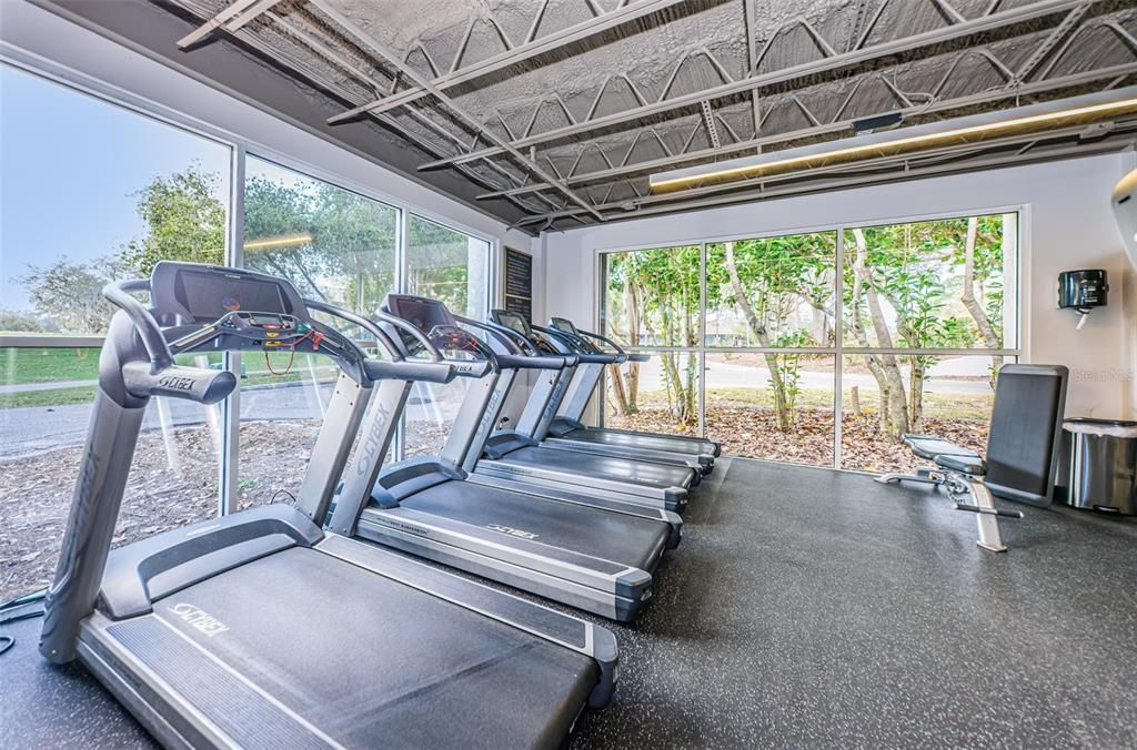 Fitness Equipment, Gym, Interior, Sun Room
