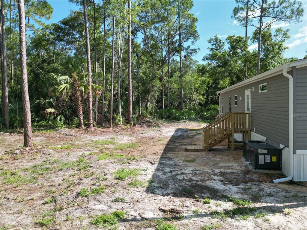 Backyard, Exterior
