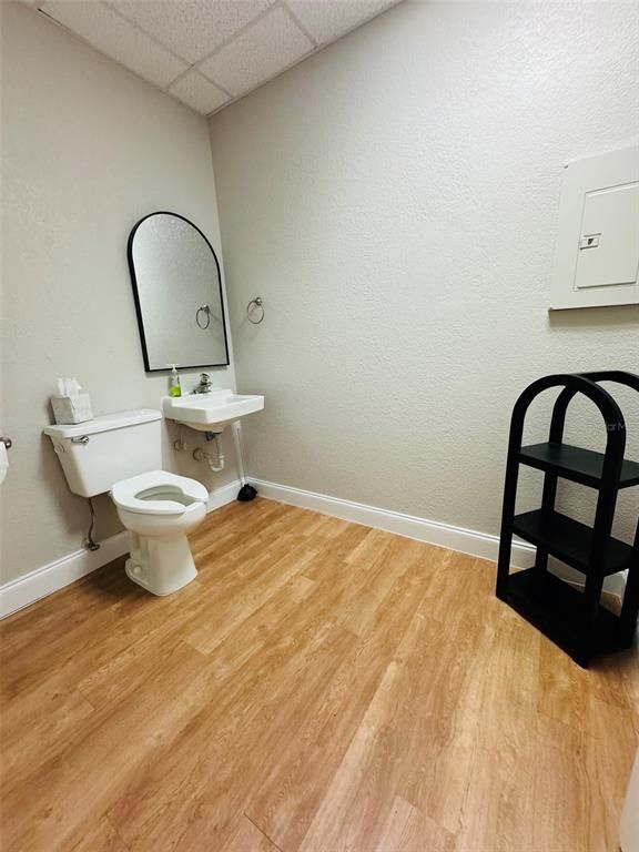 Bathroom, Interior, Wood Texture Flooring