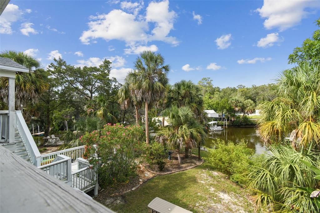 Backyard, Exterior, Water