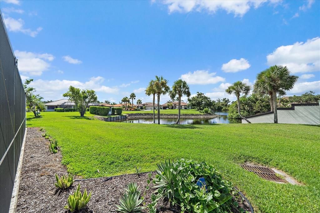 Backyard, Exterior, Water