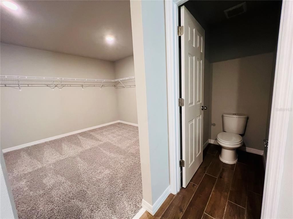 Bathroom, Interior, Recessed Lighting, Walk-in Closets, Wood Texture Flooring