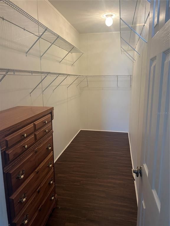 Interior, Walk-in Closets, Wood Texture Flooring