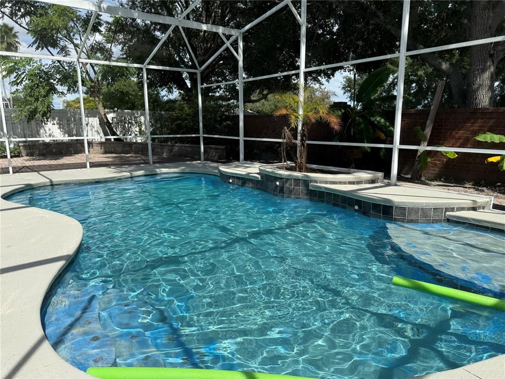 Glass Ceilings, Interior, Pool, Sun Room