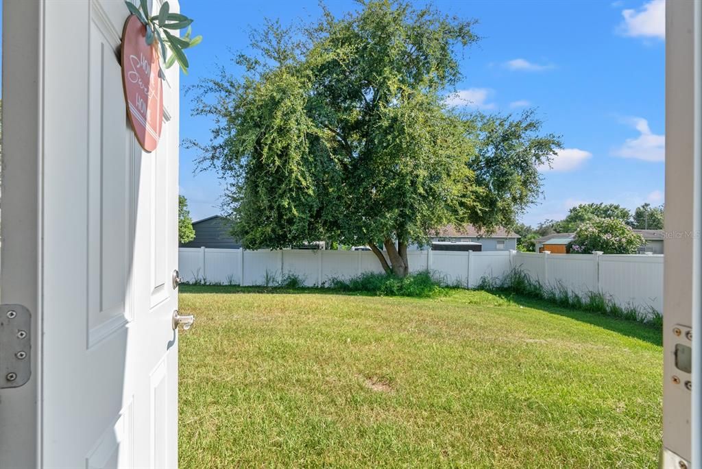 Backyard, Exterior