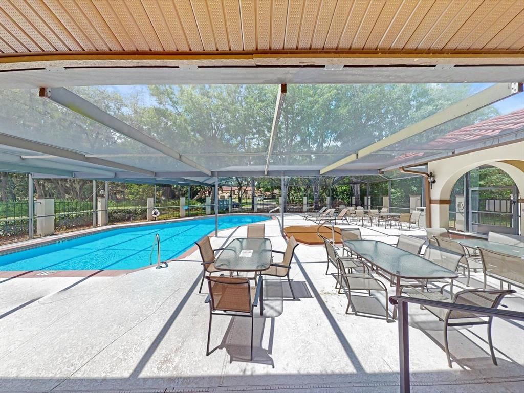 Glass Ceilings, Interior, Pool, Sun Room, Wooden Ceilings