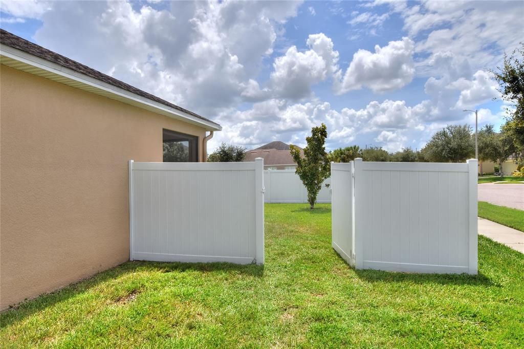 Backyard, Exterior