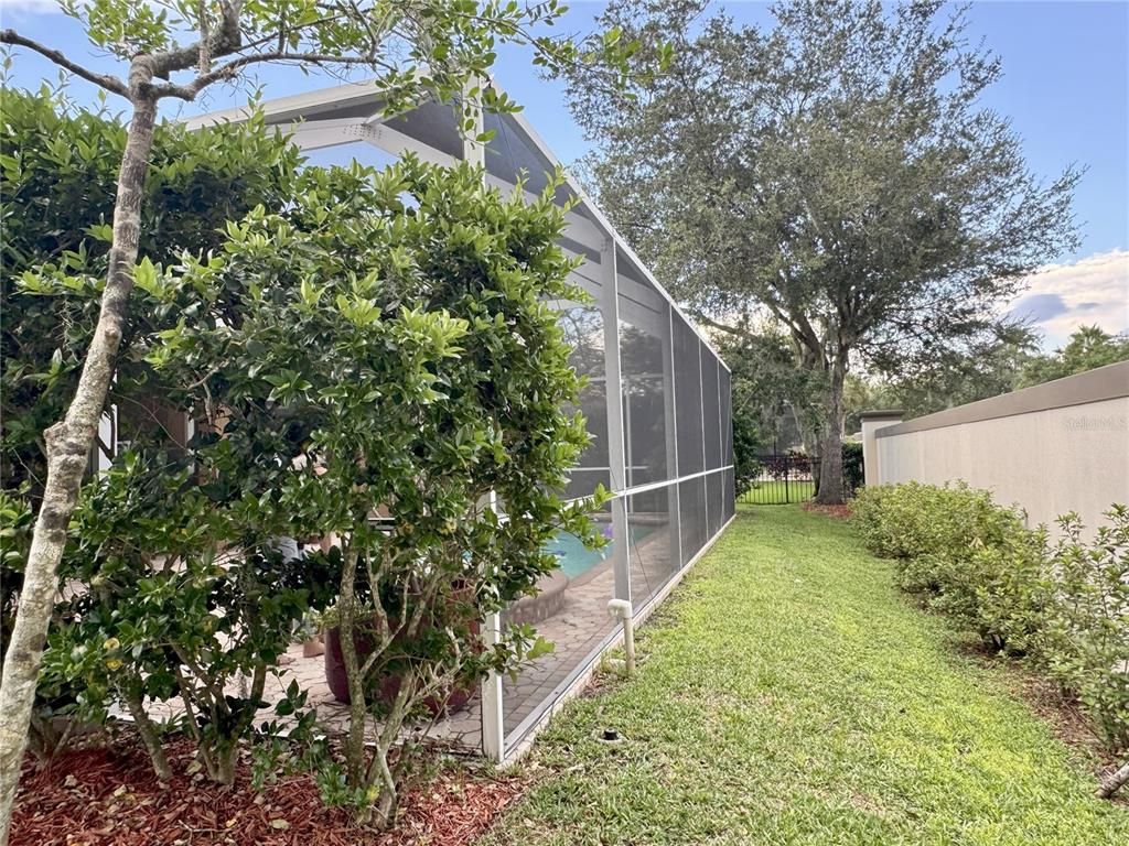 Backyard, Exterior