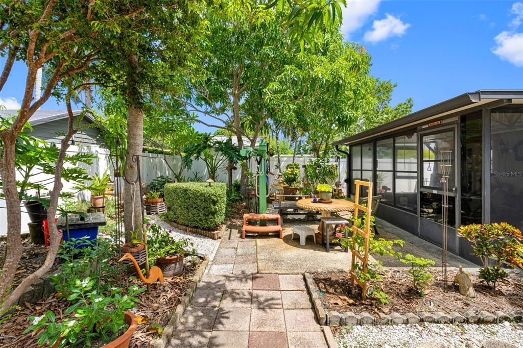 Backyard, Exterior