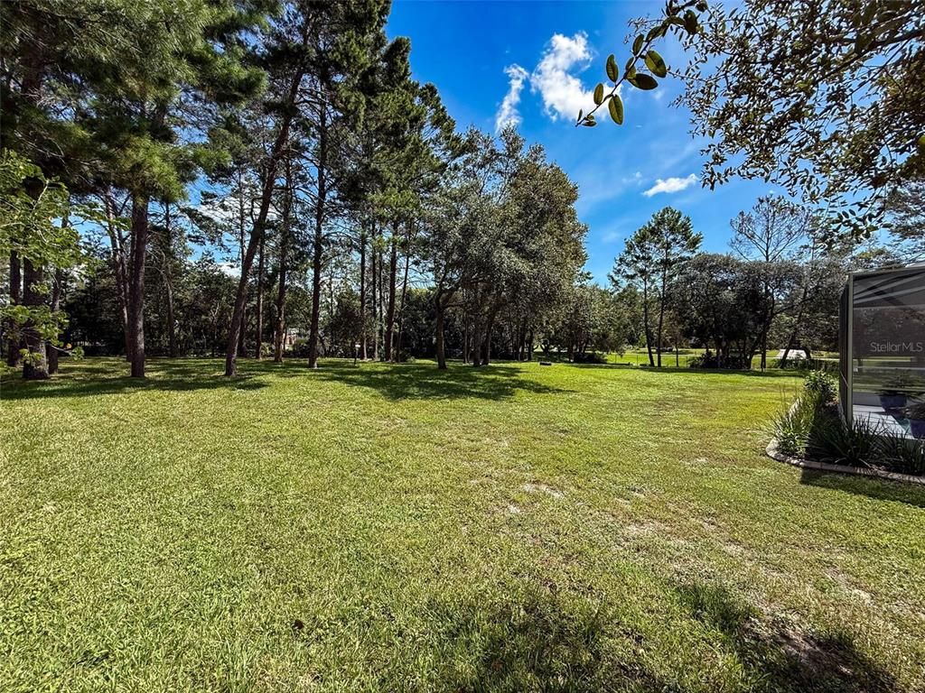Backyard, Exterior