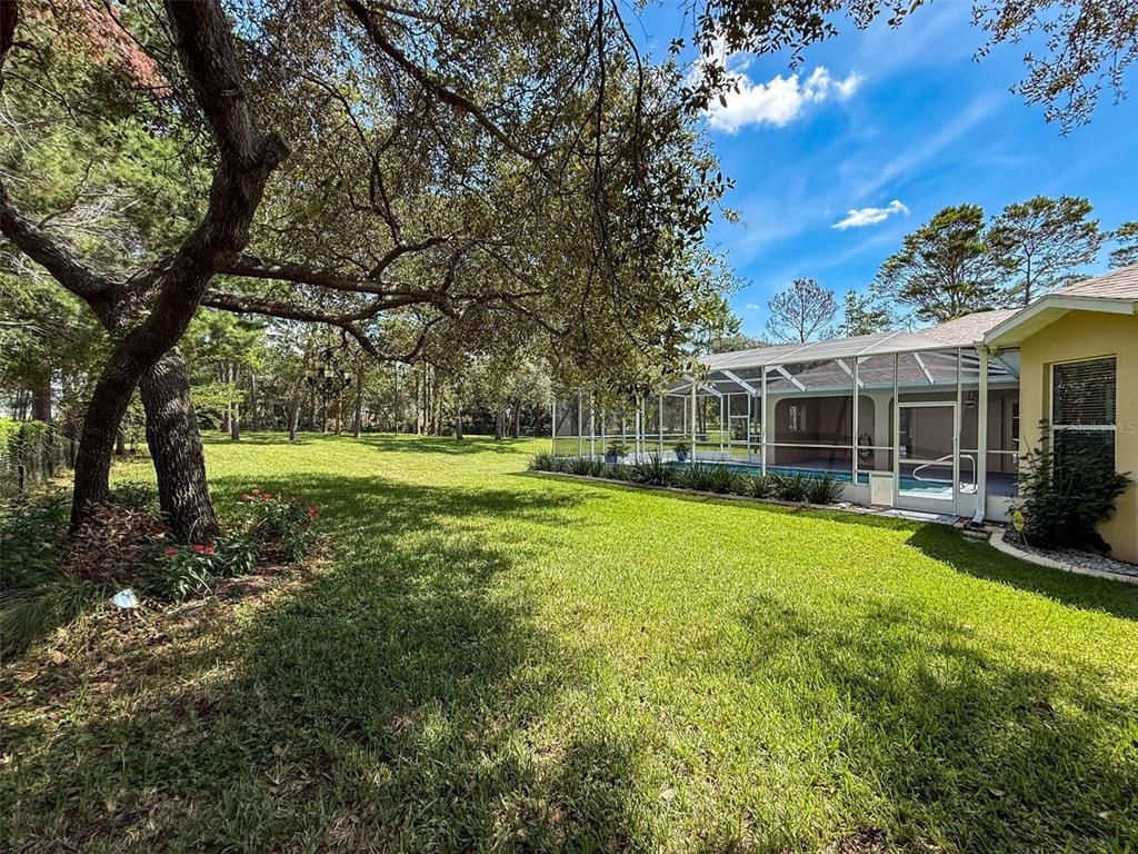 Backyard, Exterior