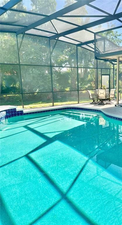 Glass Ceilings, Interior, Pool, Sun Room