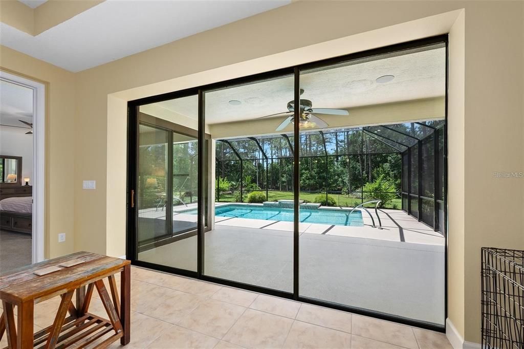 Glass Ceilings, Interior, Pool, Sun Room