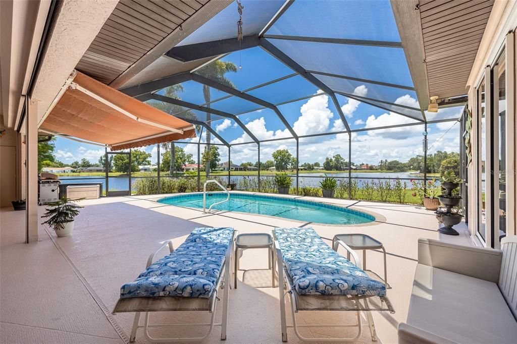 Glass Ceilings, Interior, Pool, Sun Room, Water